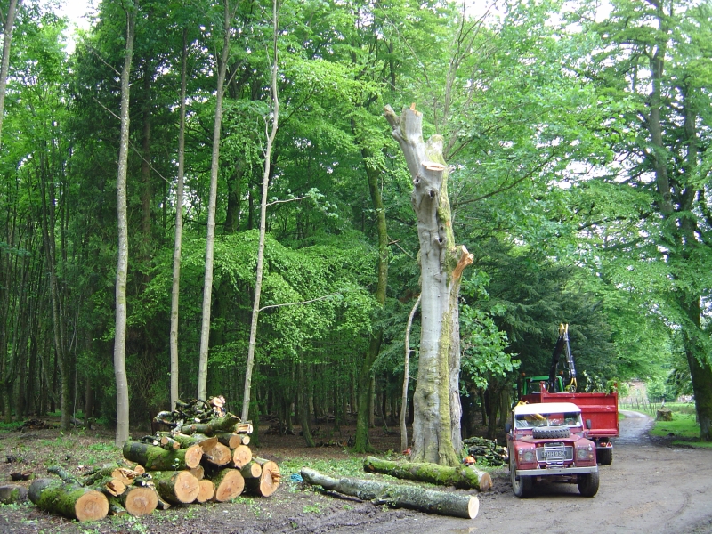 2012-06-09 006
